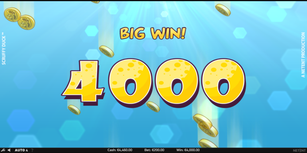Scruffy Duck slot game Big Win Scruffy Duck slot game Big Win