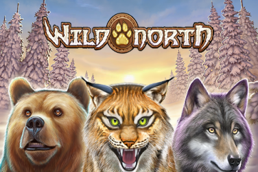 Wild North análise da slot machine - Jogo grátis DEMO