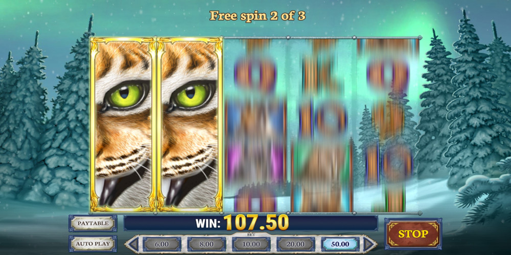 Wild North casino slot game Free Spins Gameplay Wild North casino slot game Free Spins Gameplay