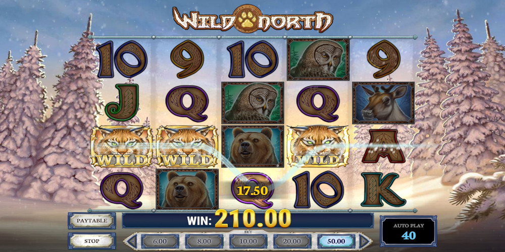Wild North slot game Wild Symbols win Wild North slot game Wild Symbols win