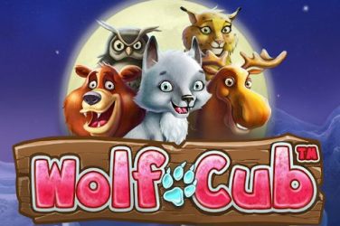 Wolf Cub spielautomat von NetEnt Bewertung und TOP Casino zum Spielen!