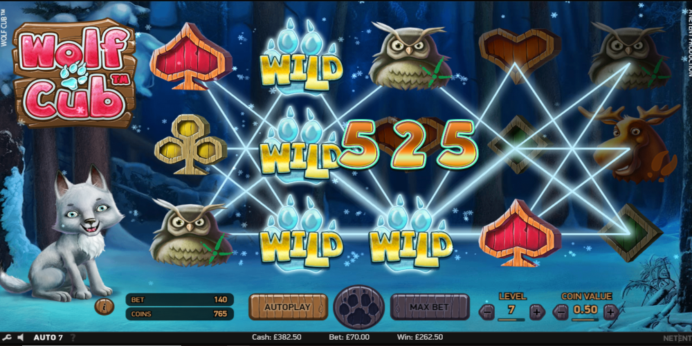 Wolf Cub casino slot game Win