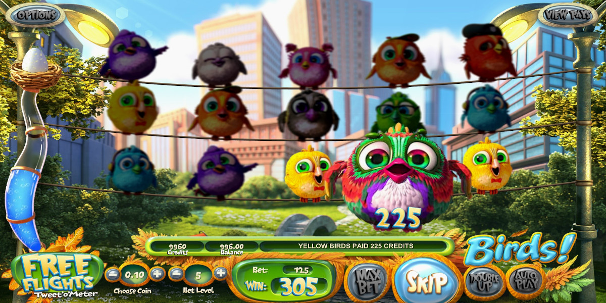 Birds! slot game Gameplay Win Fun 3D graphic