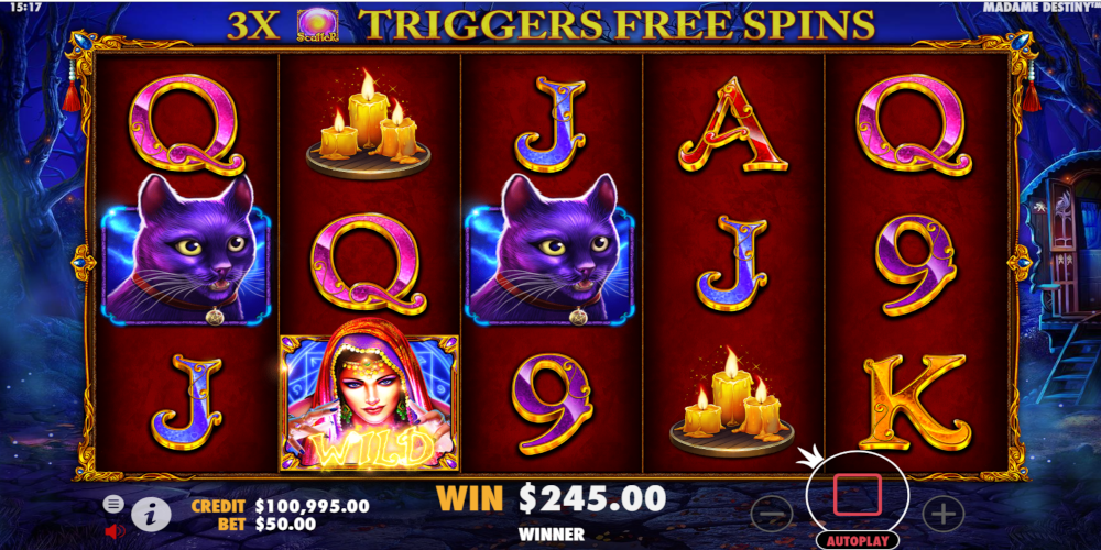 Madame Destiny slot game Wild