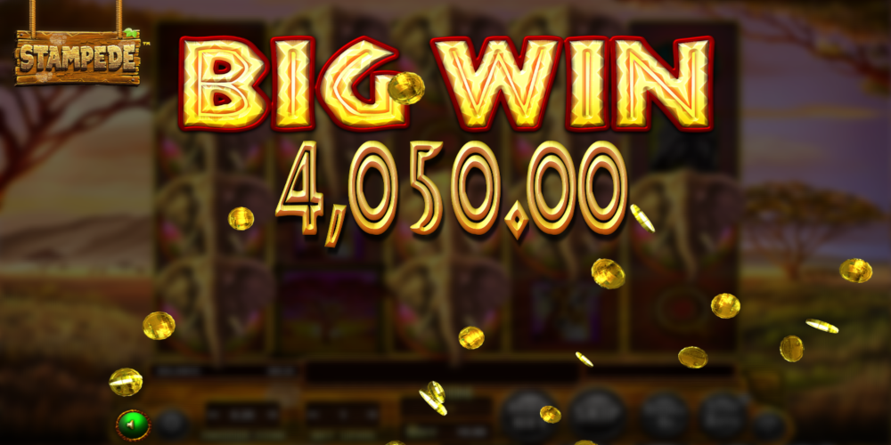 Stampede slot game Big Win