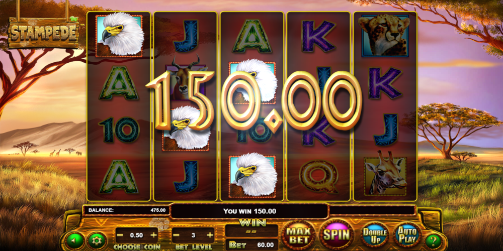 Stampede slot game GamePlay