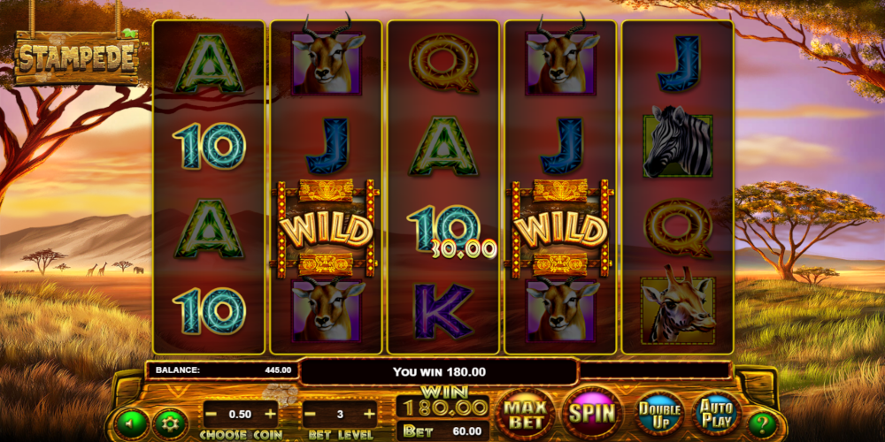 Stampede casino game Wild