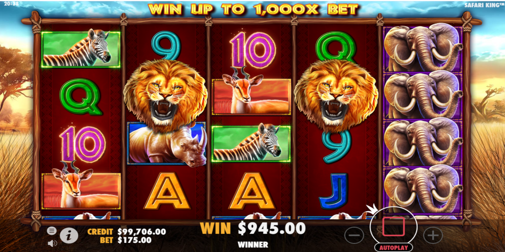 Safari King slot game GamePlay