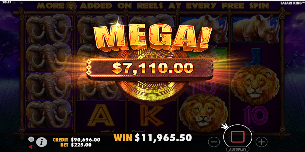 Safari King slot game Mega Win