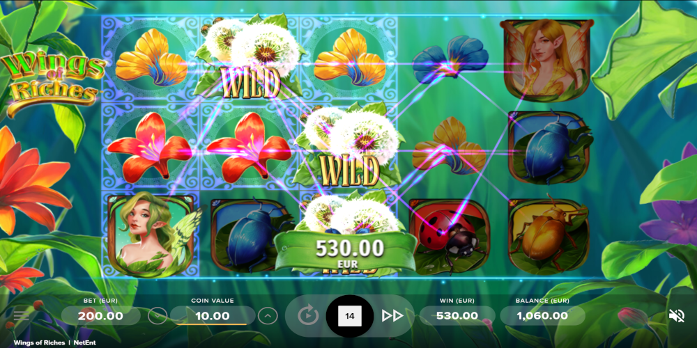 Wings of Riches slot game Win
