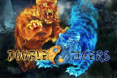 Double Tigers Slot game – How to play and Where to play?