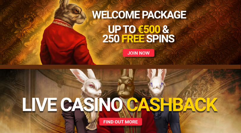 royal rabbit casino bonus - welcome package live casino cashback