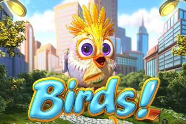 Birds! slot review - Where to play multi slots demo?