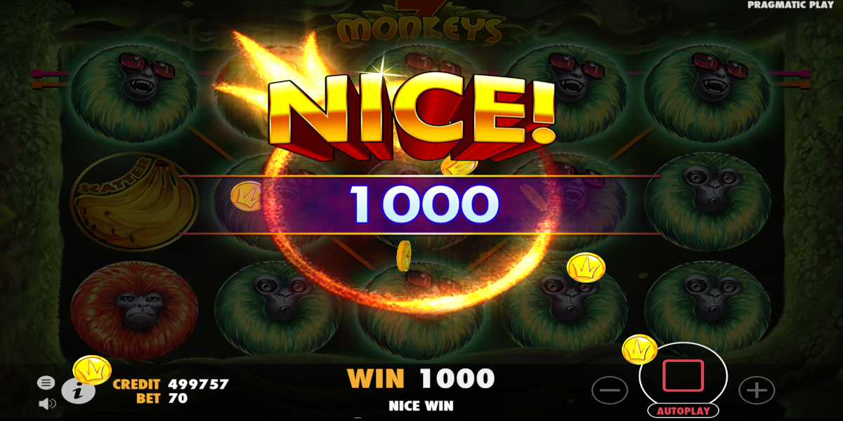 7 Monkeys slot game Big Win 7 Monkeys slot game Big Win