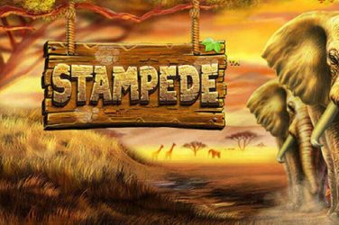 Stampede slot review, try casino game DEMO for free!