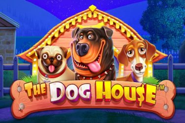 The Dog House огляд слотів, безкоштовний демо-режим і список найкращих казино!