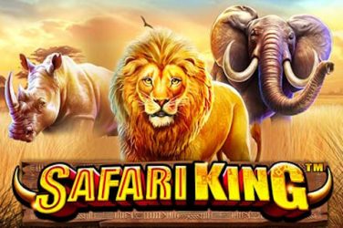 Safari King slot review, DEMO and TOP casinos list