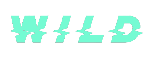 wildcoins casino logo